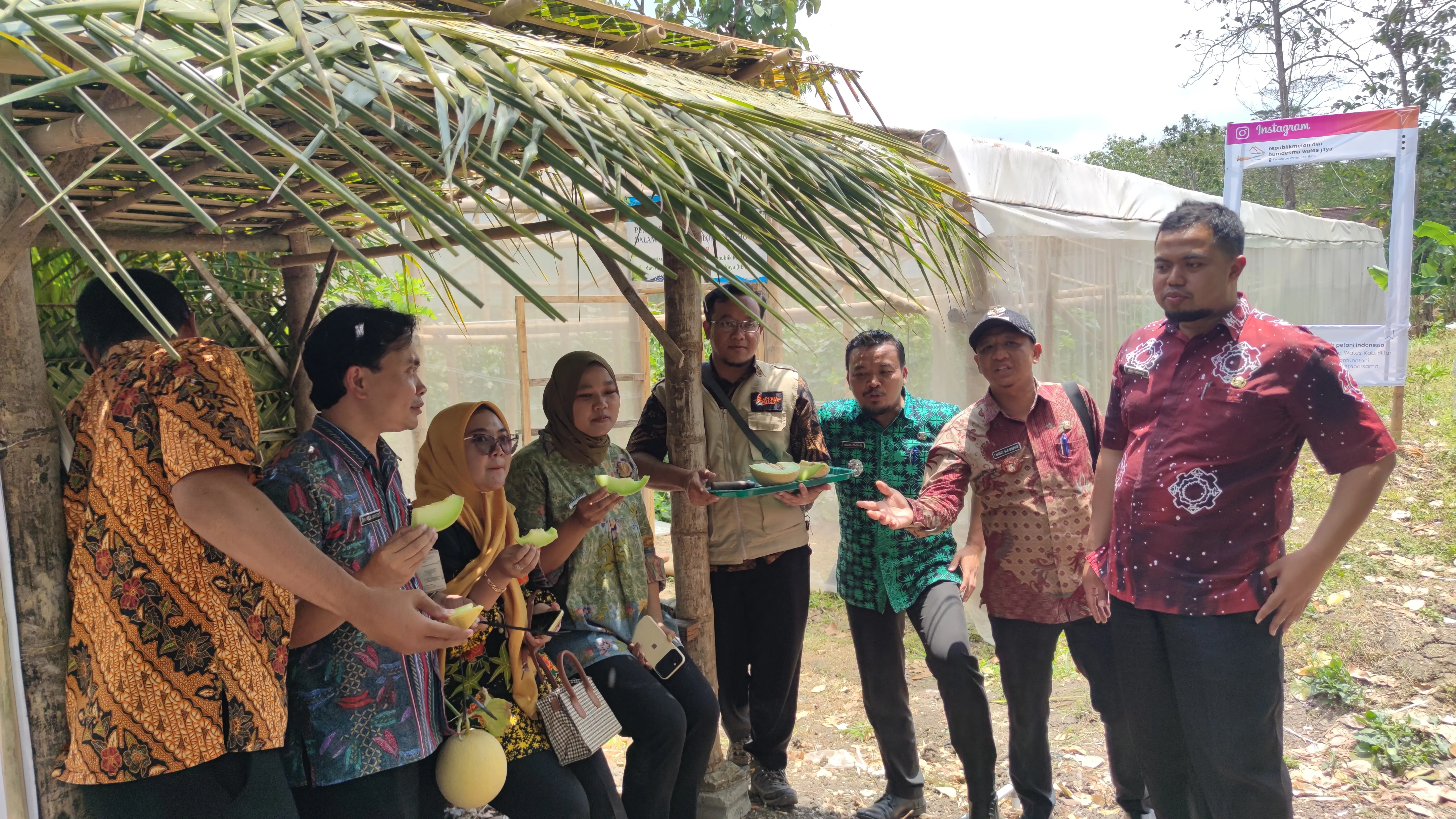 Pengembangan Usaha Melon